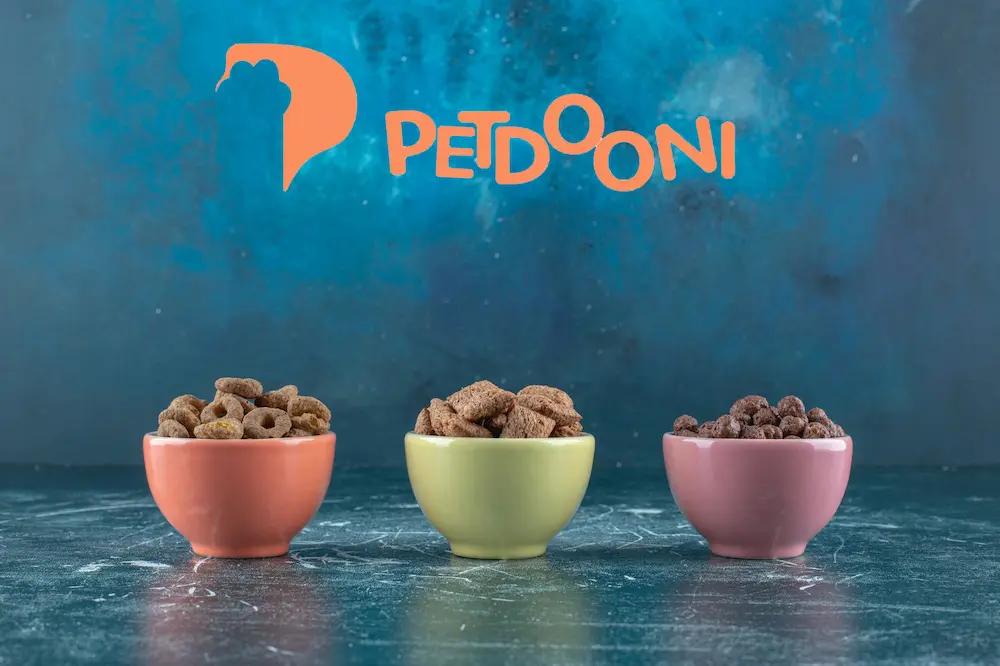 گربه ها چه غذایی دوست دارند؟ | غذای مورد علاقه گربه ها در پت شاپ آنلاین پتدونی 1404